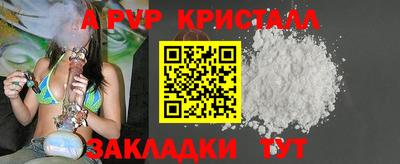 спайс Тара