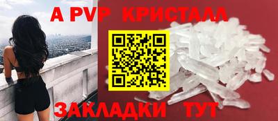 спайс Тара