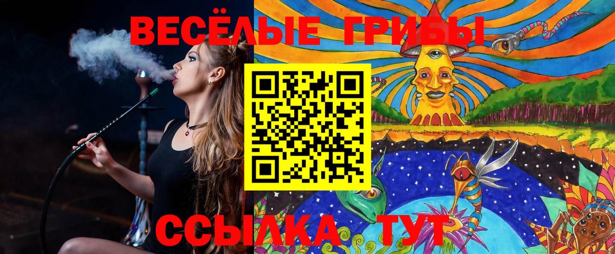 Галлюциногенные грибы GOLDEN TEACHER Донской